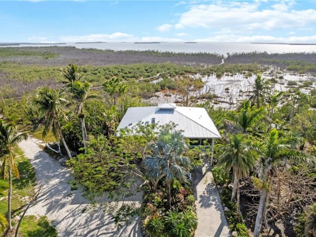 Pine Island