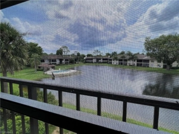 Pinewood Lakes