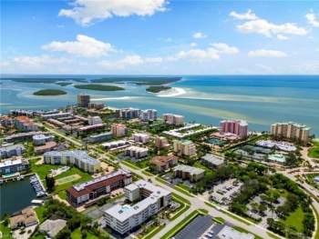 Swallows Of San Marco