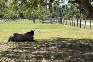 Land, 13300 Morningstar Ln, Bokeelia FL 33922