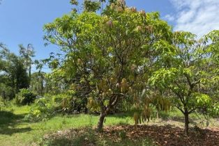 , 5431 Gamebird Ln, Bokeelia FL 33922