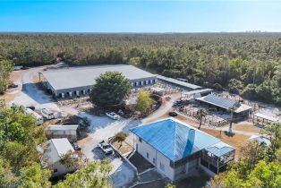 , Golf Country Clubs, FL 