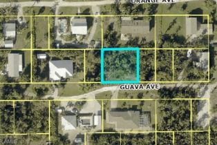 Land, 7200 Guava Ave