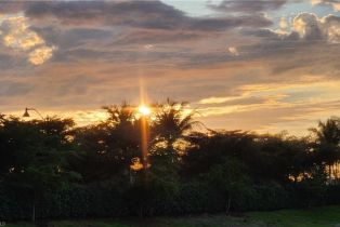 , Arborwood Preserve, FL 