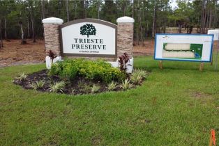 Land, 25341 Divot Dr, Bonita Springs FL 34135