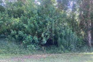 Land, #23 Pine Tree Dr, Naples FL 34112