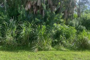 Land, Xxx Pine Tree Dr, Naples FL 34112