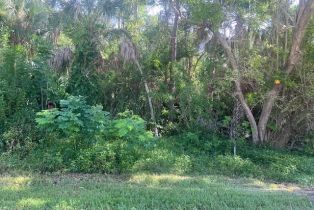 Land, Xxx Pine Tree Dr, Naples FL 34112
