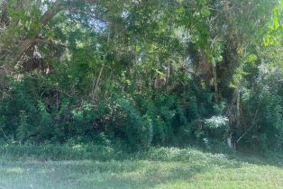 Land, Xxx Pine Tree Dr, Naples FL 34112