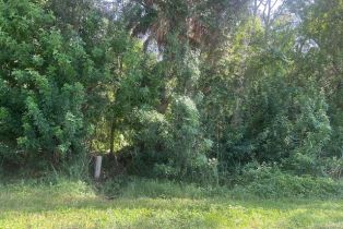 Land, Xxx Andrews Ave, Naples FL 34112