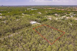 , 24299 Roger Dodger St, Bonita Springs FL 34135