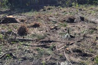Land, 3535 Papaya St, St. James City FL 33956