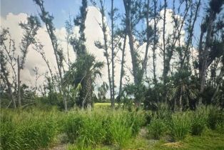 , 3666 Stabile Rd, St. James City FL 33956