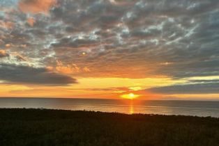 , 6573 Marissa Loop # 2004, Naples FL 34108