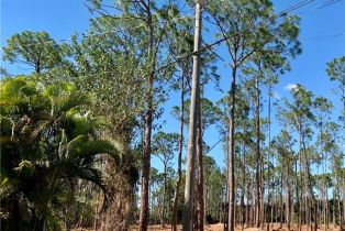 , 24032 Golden Eagle Ln, Bonita Springs FL 34135