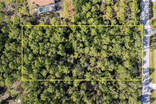 Land, 25188 Papillion Dr, Bonita Springs FL 34135