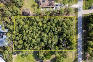Land, 25421 Luci Dr, Bonita Springs FL 34135