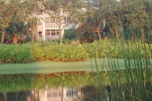 , 26930 Wedgewood Dr # 202, Bonita Springs FL 34134