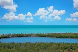 High Rise (8+), 6585 Nicholas Blvd # 1703, Naples FL 34108