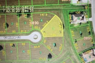 Land, 24182 Colima Ct, Punta Gorda FL 33955