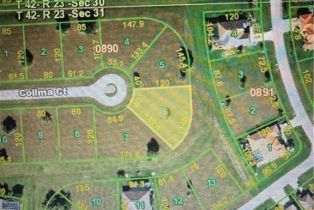Land, 24177 Colima Ct, Punta Gorda FL 33955