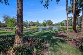 , Cypress Commons, FL