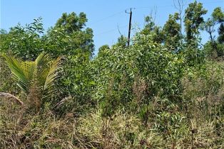 Land, 13941 Silverton Ln, Bokeelia FL 33922