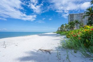 High Rise (8+), 4001 Gulf Shore Blvd N # 4, Naples FL 34103