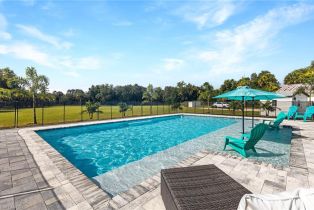 , Central Naples, FL 