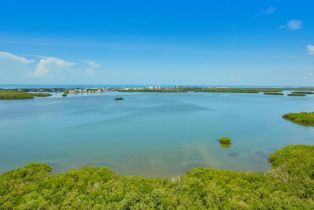 High Rise (8+), 4731 Bonita Bay Blvd # 1703, Bonita Springs FL 3413434134