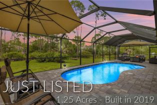Single Family Residence, 24100 Claire Bonita Springs, FL 34135 