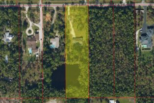 , Livingston Woods, FL 