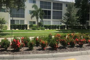 Low Rise (1-3), 216 Banyan Blvd # 216, Naples FL 34102