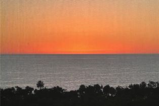 , 15 Bluebill Ave 702