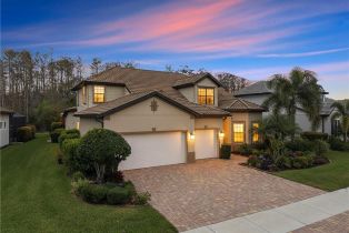 Single Family Residence, 14225 Moonlit Corkscrew Shores, FL 33928 