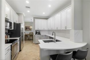 , 28531 Carlow Ct 1502