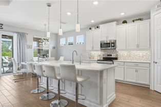 Single Family Residence, 28009 Longboat Key Seasons At Bonita, FL 34135 