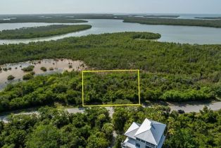 Land, 822 Whiskey Creek Dr