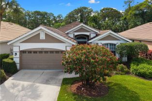 , Thornbrooke, FL 